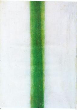 page15.jpg