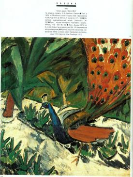 page9.jpg